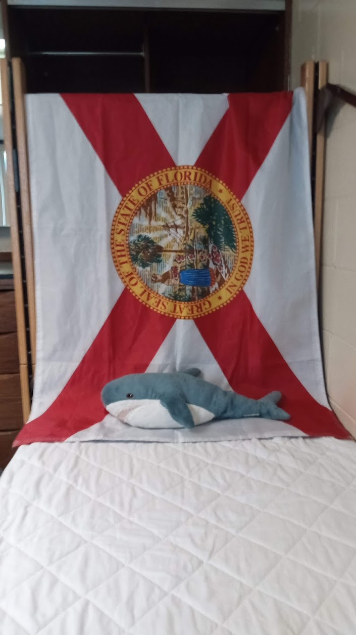 blahaj on florida flag