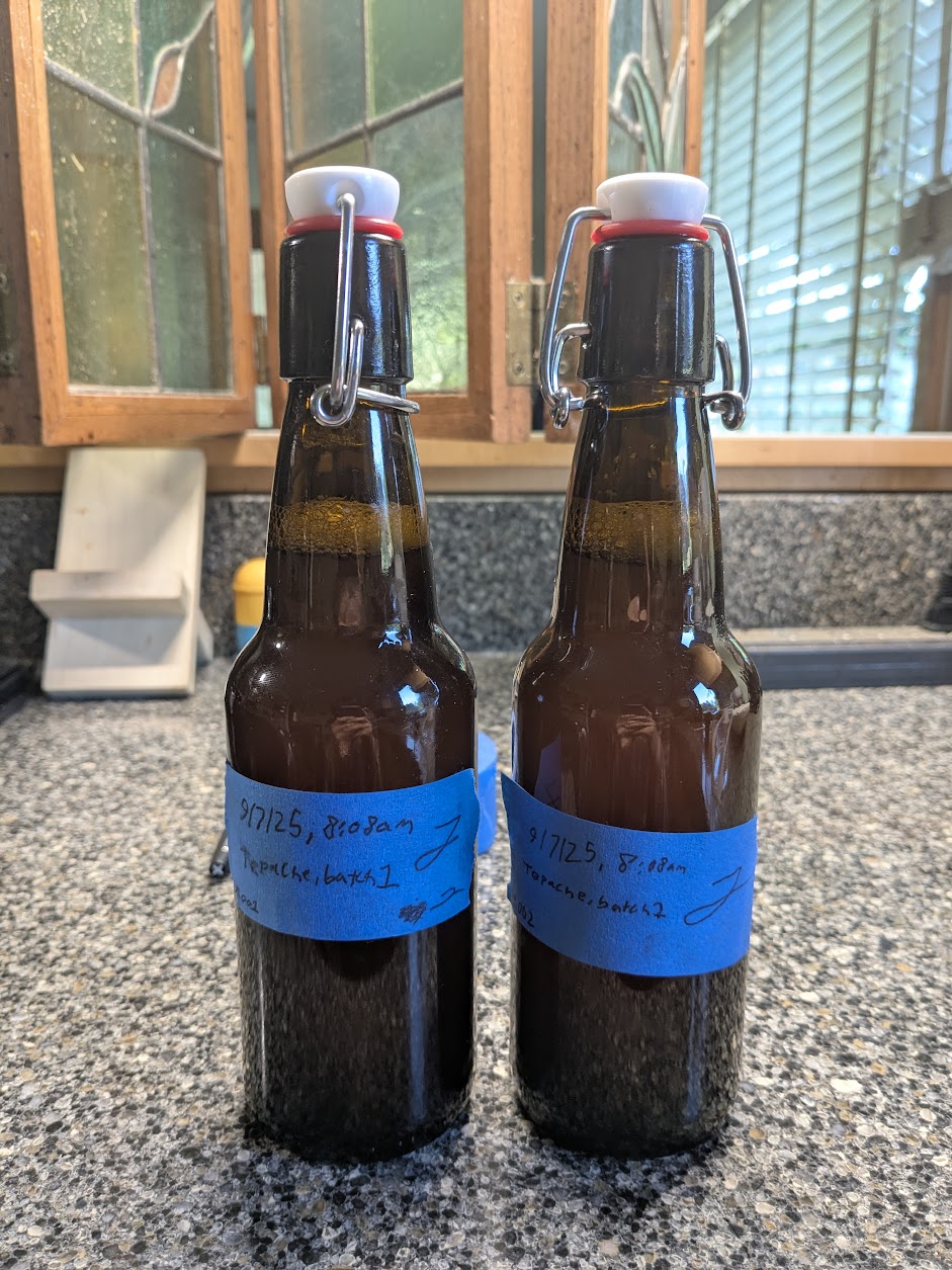 bottled fliptop tepache